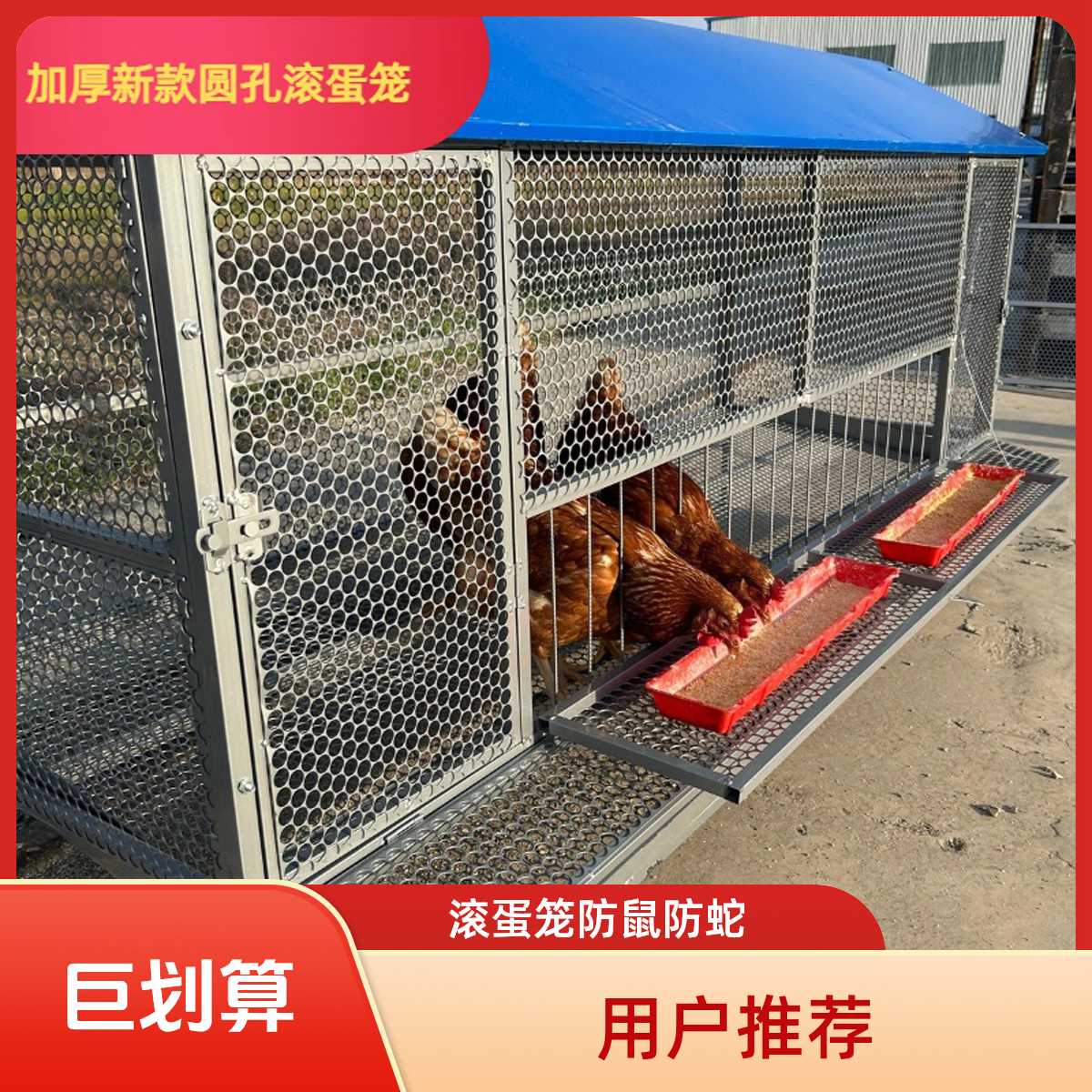 第4代滚蛋笼家用养殖鸡笼鸽子鸭子加厚加大全圆网防老鼠防蛇