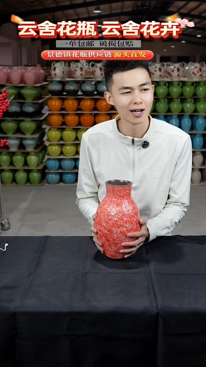 陶瓷景德镇陶瓷花瓶（新年款）