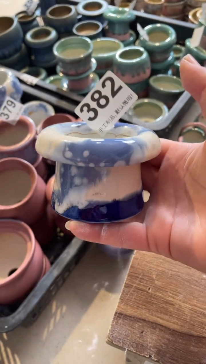 瓷片382小芳直播编号