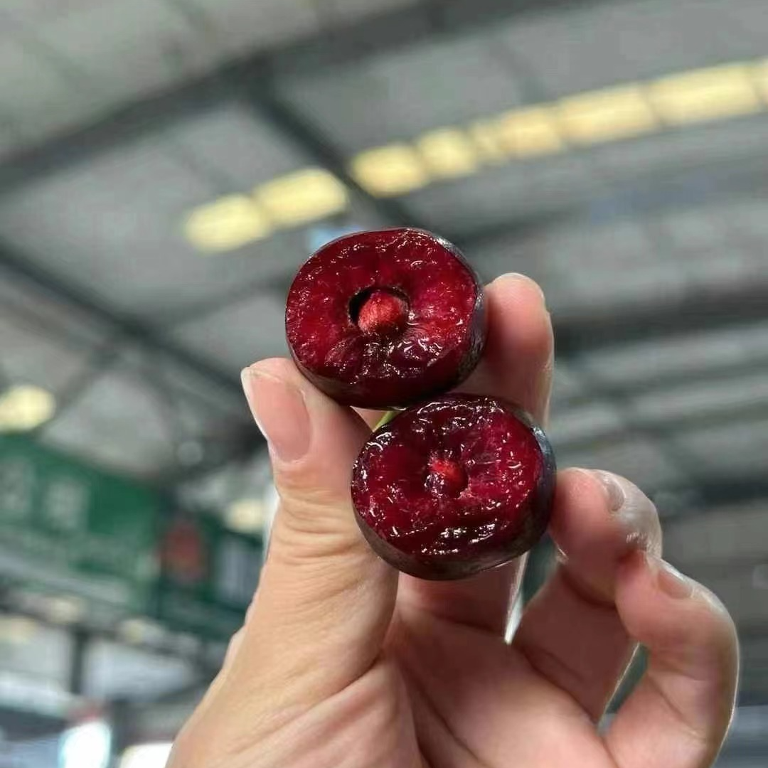 【门店特惠】智利车厘子海运 单J 3斤福利装