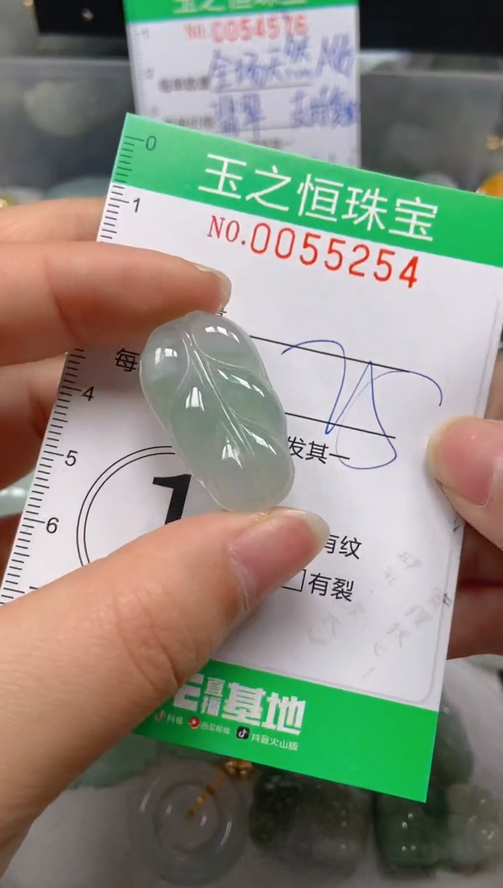 【闪购商品】翡翠未镶嵌颈饰闪购0055254