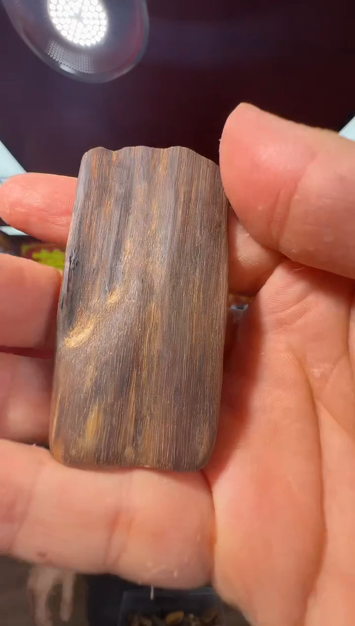 沉香吊坠e165达拉干多样性发一