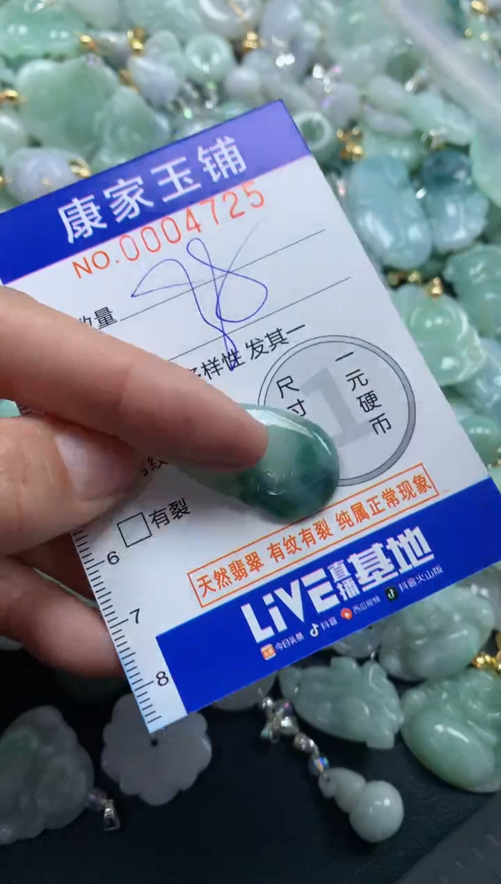 颈饰未镶嵌翡翠4725