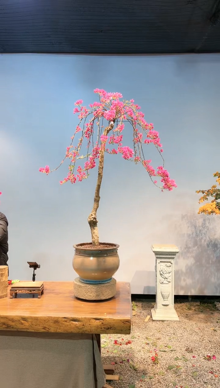 【闪购商品】AA921