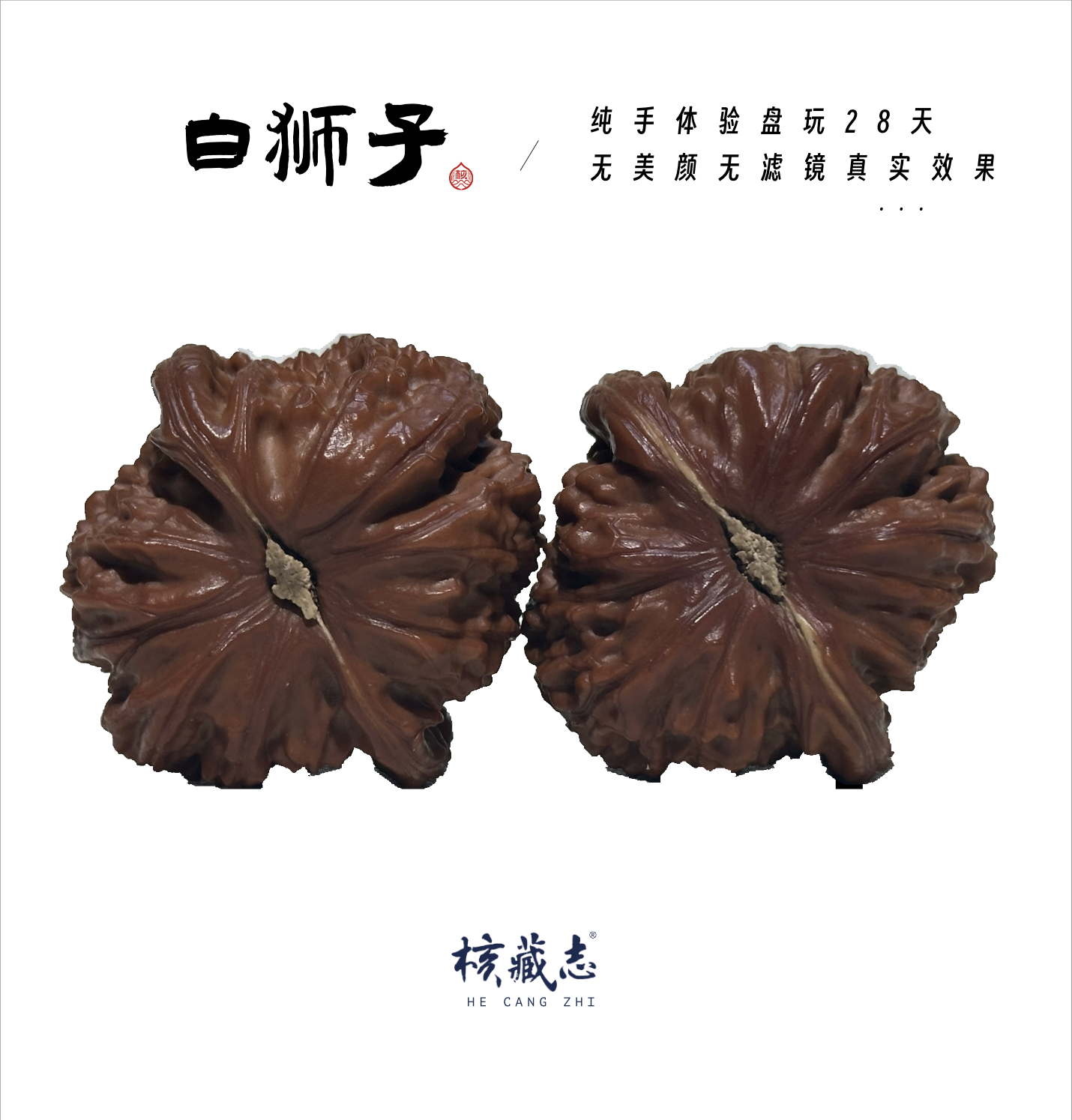 HUTU《白狮子》微修