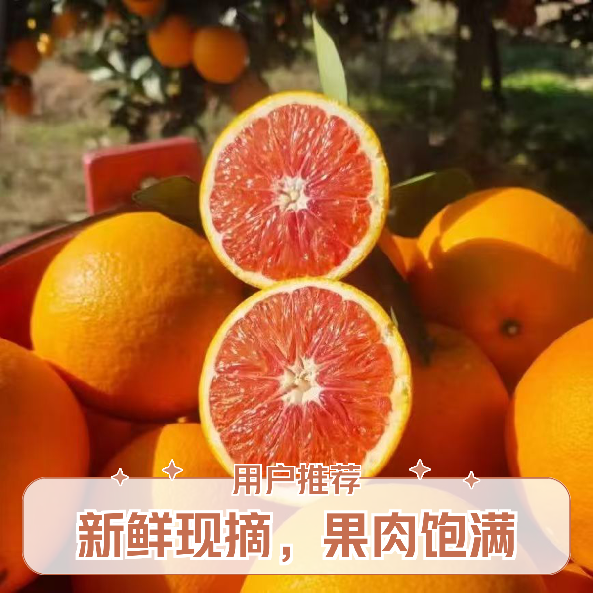 【礼盒】四川血橙口感纯甜橙中皇后