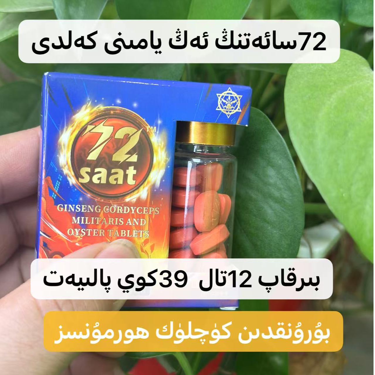 72 Saat taliti 一盒12 tal   糖果72小时乌鲁木齐发货