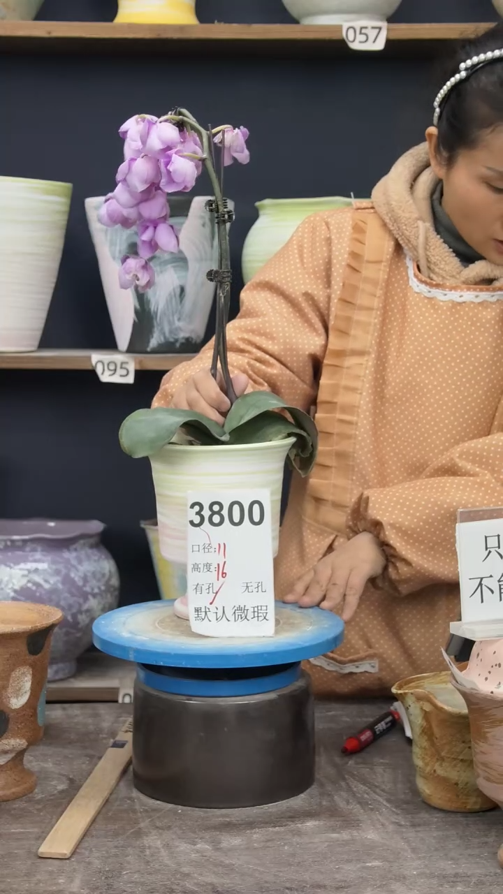景德镇花盆默认微瑕3800
