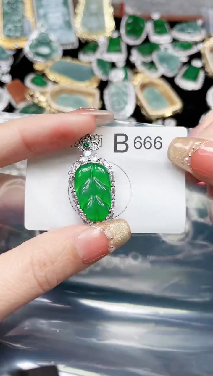 【闪购商品】翡翠颈饰未镶嵌666赠皮绳