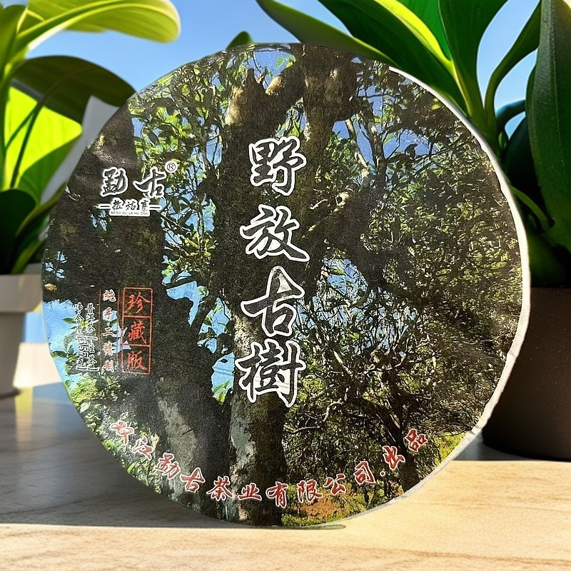 2024年野放古树普洱茶生茶饼357克/拍2发3带绿水塘一片