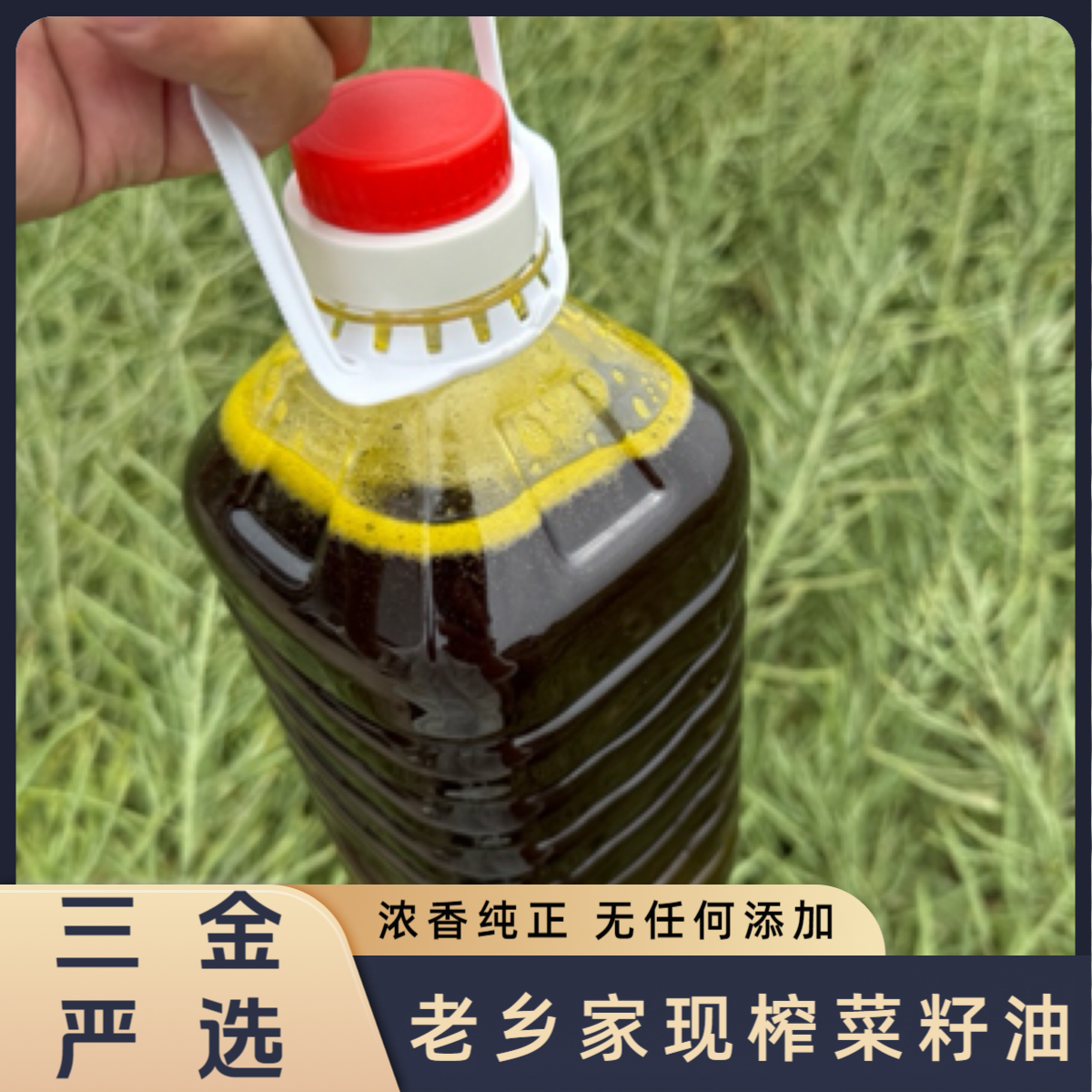 【三金严选】苏北盐城老乡家种的菜籽现榨 菜籽油 浓香纯正食用油
