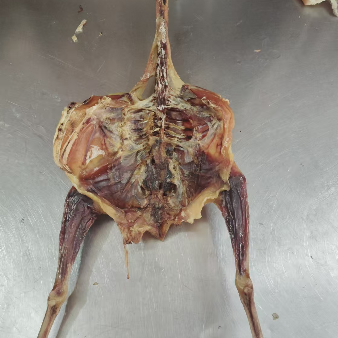 正宗连州腊味风干鸡腊腊鸭味腊香味紧实新鲜鸡新鲜鸭腌制特产