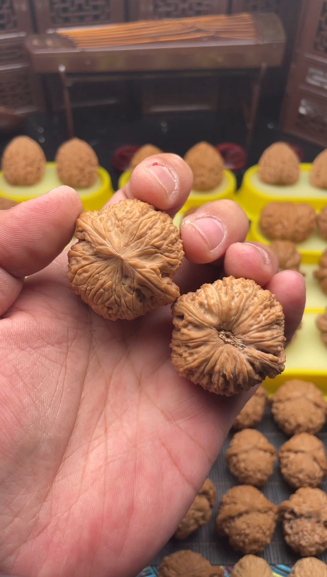 【闪购商品】文玩核桃把件41同克重全品泥鳅背