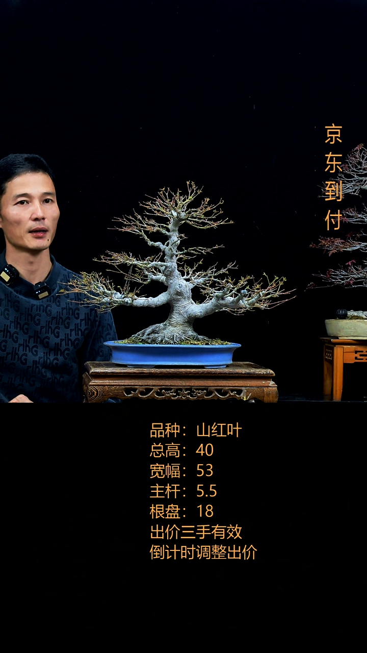 无花朵西***停0000000