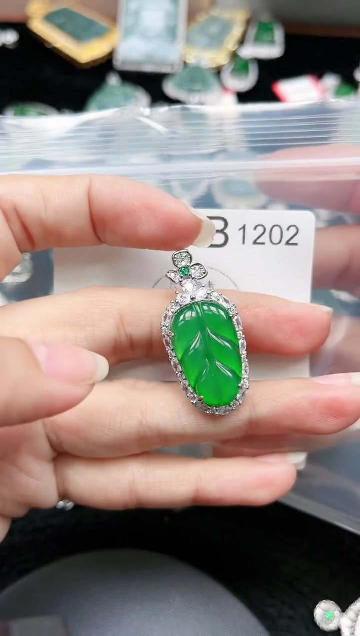 【闪购商品】翡翠颈饰未镶嵌赠皮绳1202