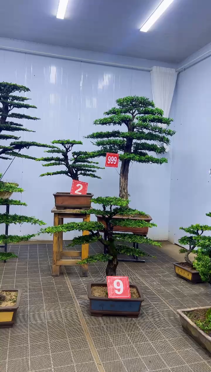 无花朵莫****忘000000000000000000