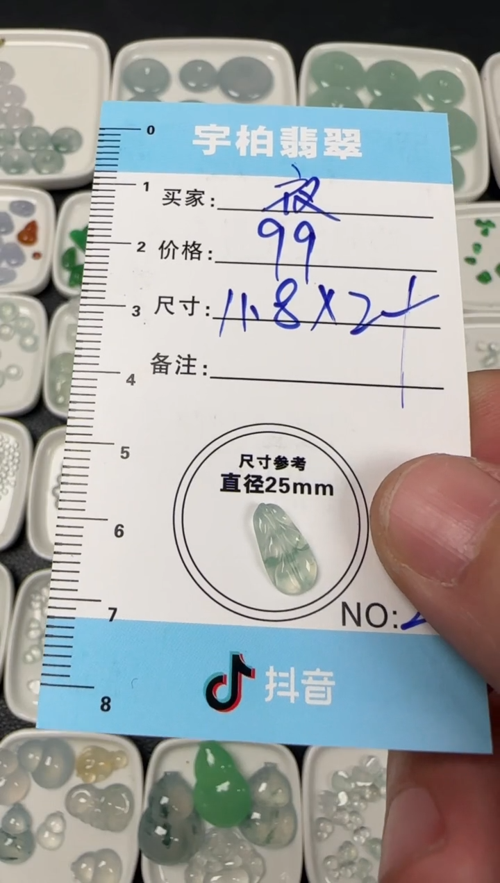 未镶嵌定制翡翠夜*珠天然A货翡翠+叶子24