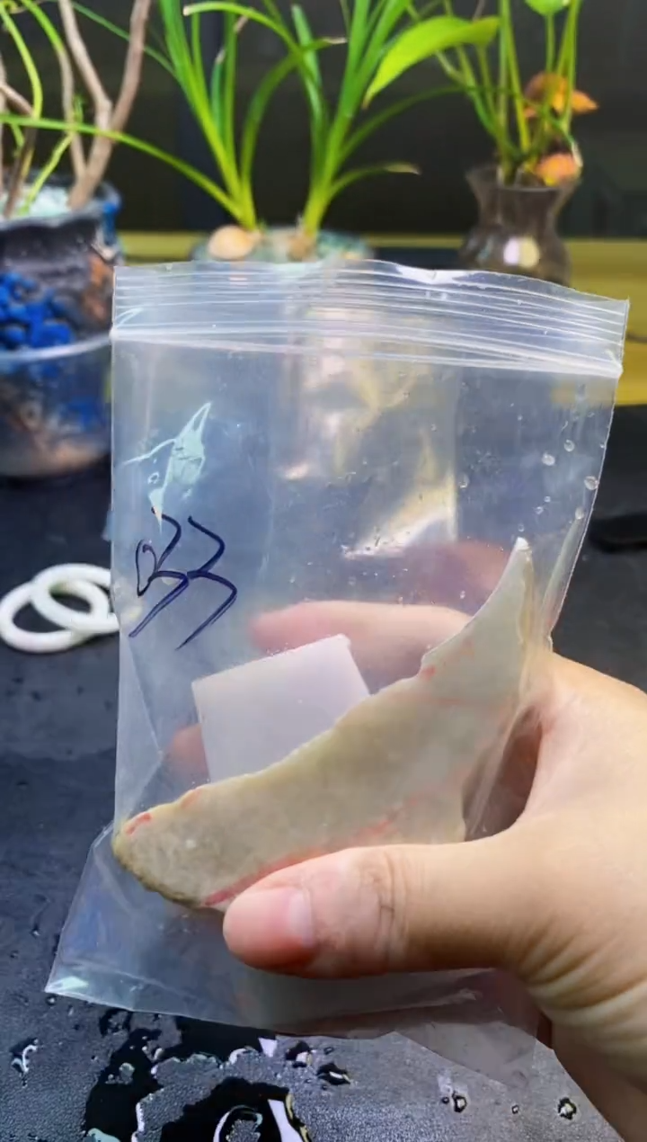 翡翠未镶嵌颈饰天然翡翠033