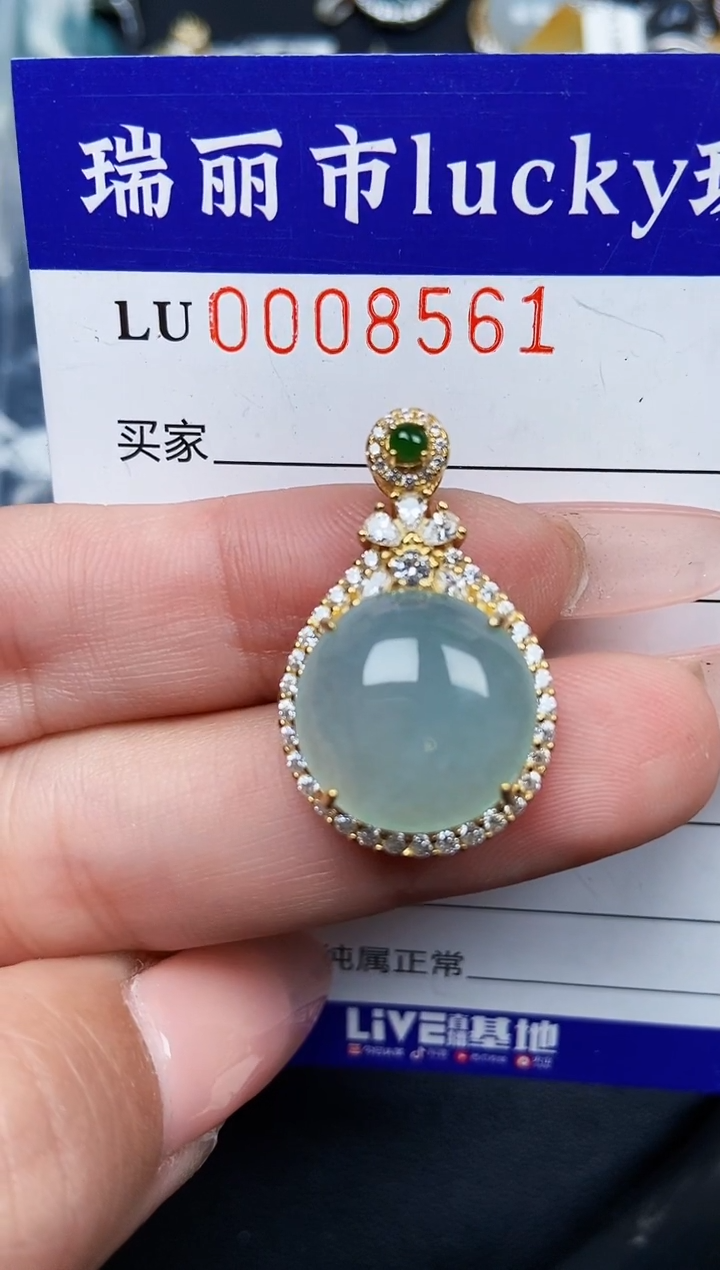 【闪购商品】翡翠颈饰银S925镶嵌8561