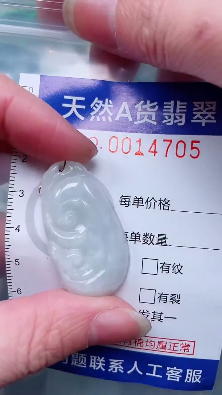 翡翠未镶嵌吊坠(赠链)1