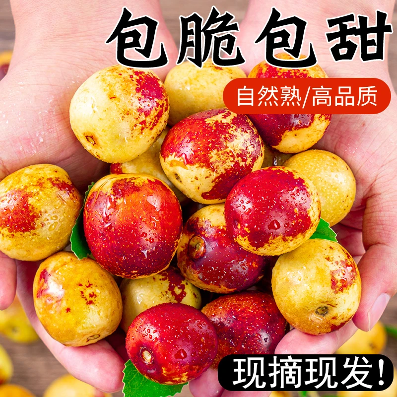 【带箱5斤】大荔冬枣新鲜现摘脆甜好吃应季时令水果包邮到家707-白