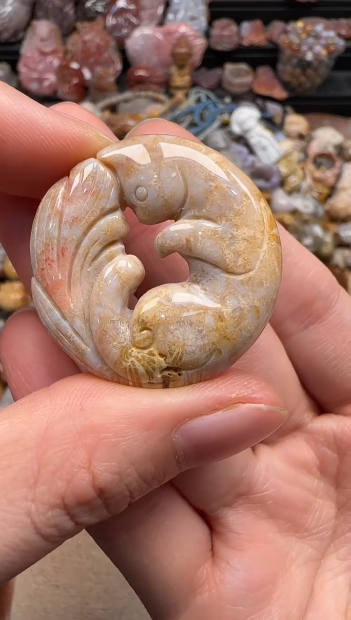 【闪购商品】硅化珊瑚（珊瑚玉）颈饰未镶嵌639