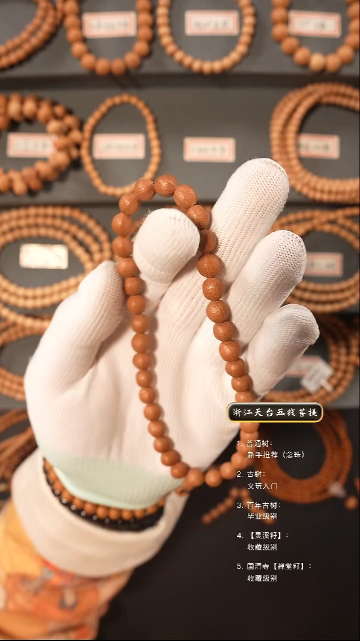 【闪购商品】五线菩提吊坠10年 陈籽手持8+