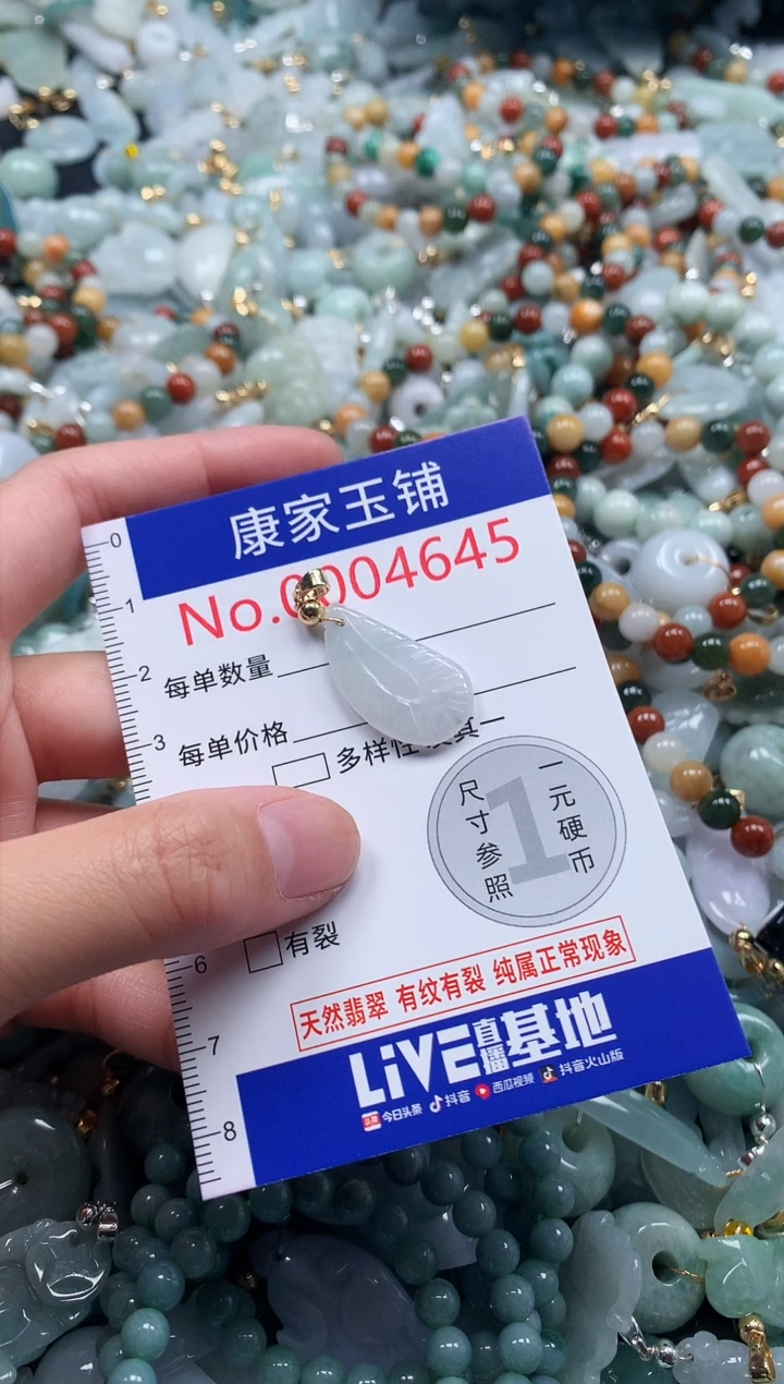 翡翠未镶嵌吊坠(不含链)4645