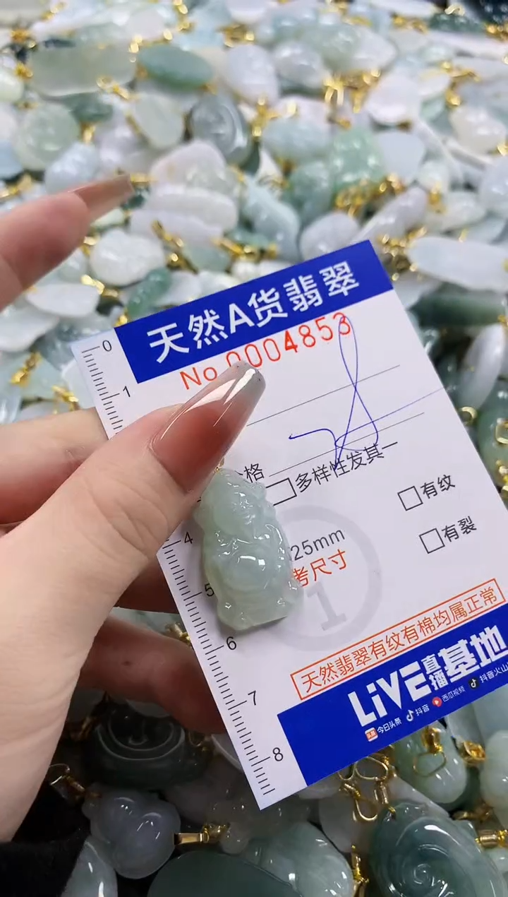 颈饰未镶嵌翡翠天然A货翡翠