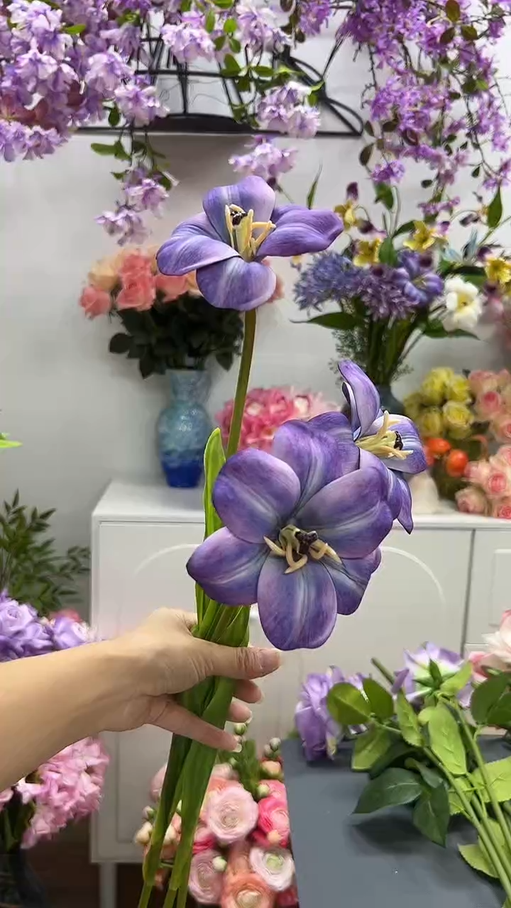 3枝紫色布朗尼郁金香
