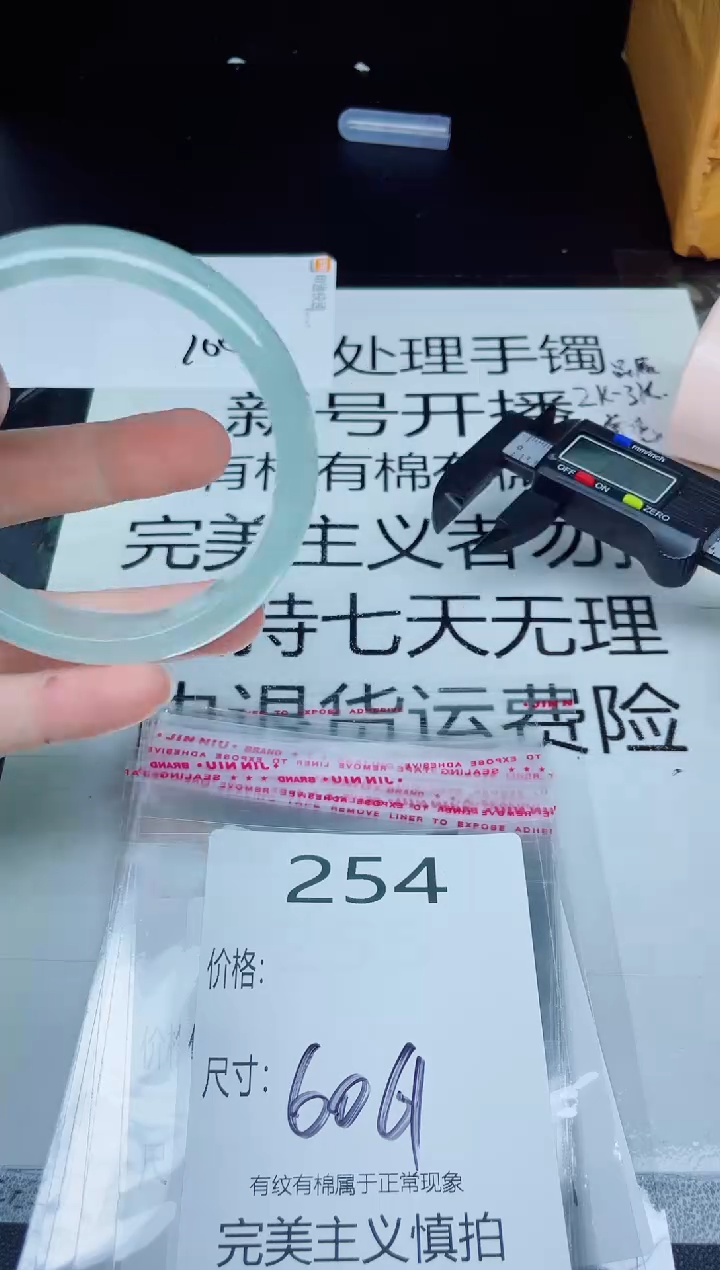 未镶嵌手镯翡翠254