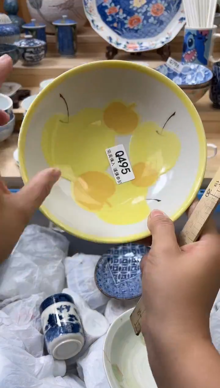 【闪购商品】瓷片495qqqqqqqqqqqq