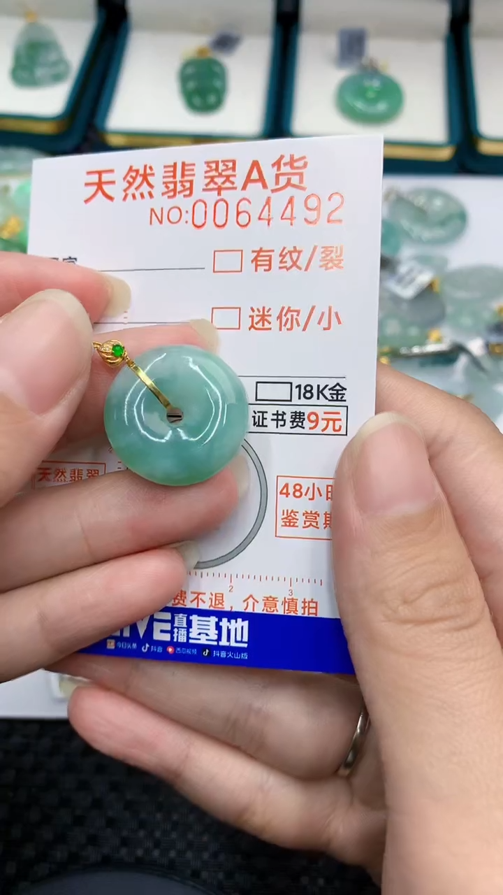 【闪购商品】翡翠颈饰18K金镶嵌            8