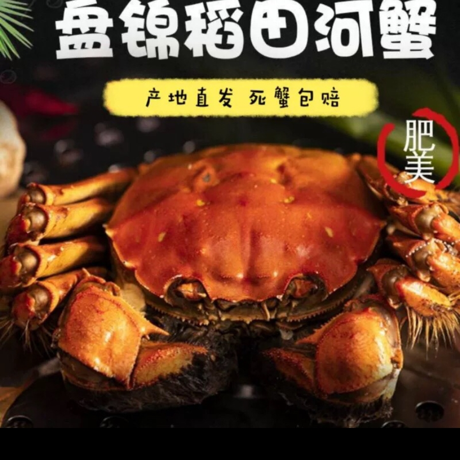 【全母活蟹】盘锦稻田蟹30-25只左右发活蟹（1.3-1两）2.5斤冷链包邮