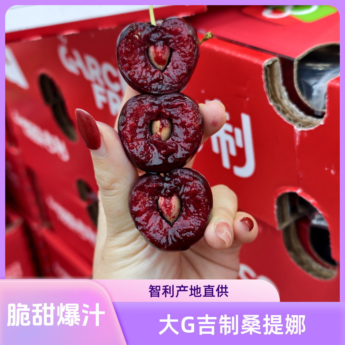 【韩美丽专属】大G 海运吉制智利4J车厘子 爽甜多汁 内附果径卡