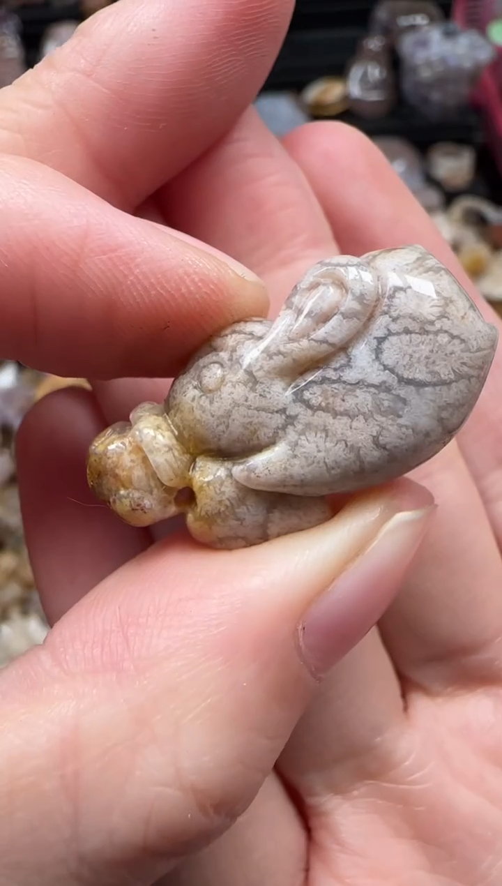 颈饰未镶嵌硅化珊瑚（珊瑚玉）318