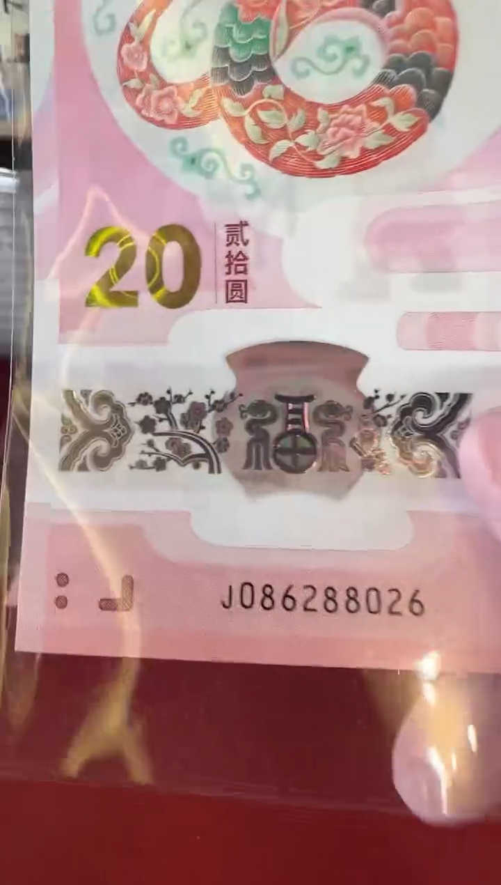【闪购商品】塑料2025蛇 啊啊啊啊啊啊啊啊单张裸