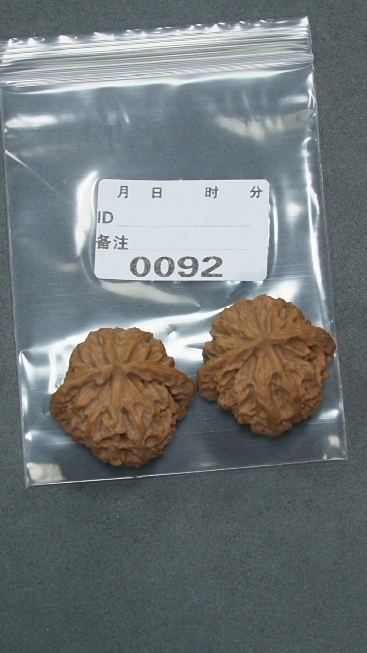 【闪购商品】文玩核桃把件41苹果园