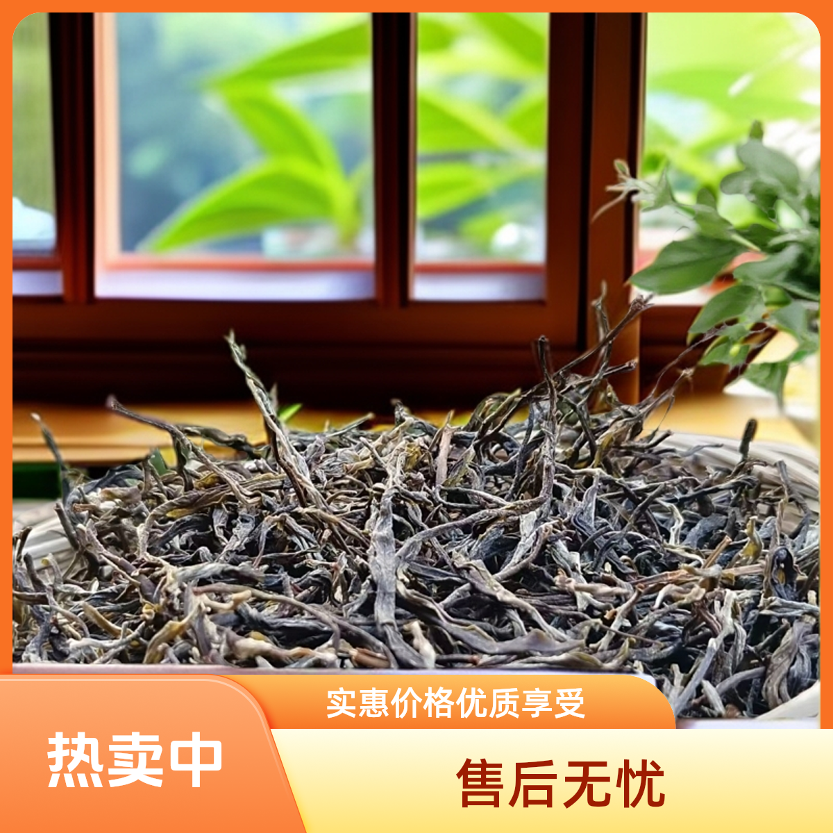 2024年小户赛古树春茶普洱生茶散料，芽叶肥硕冰糖甜