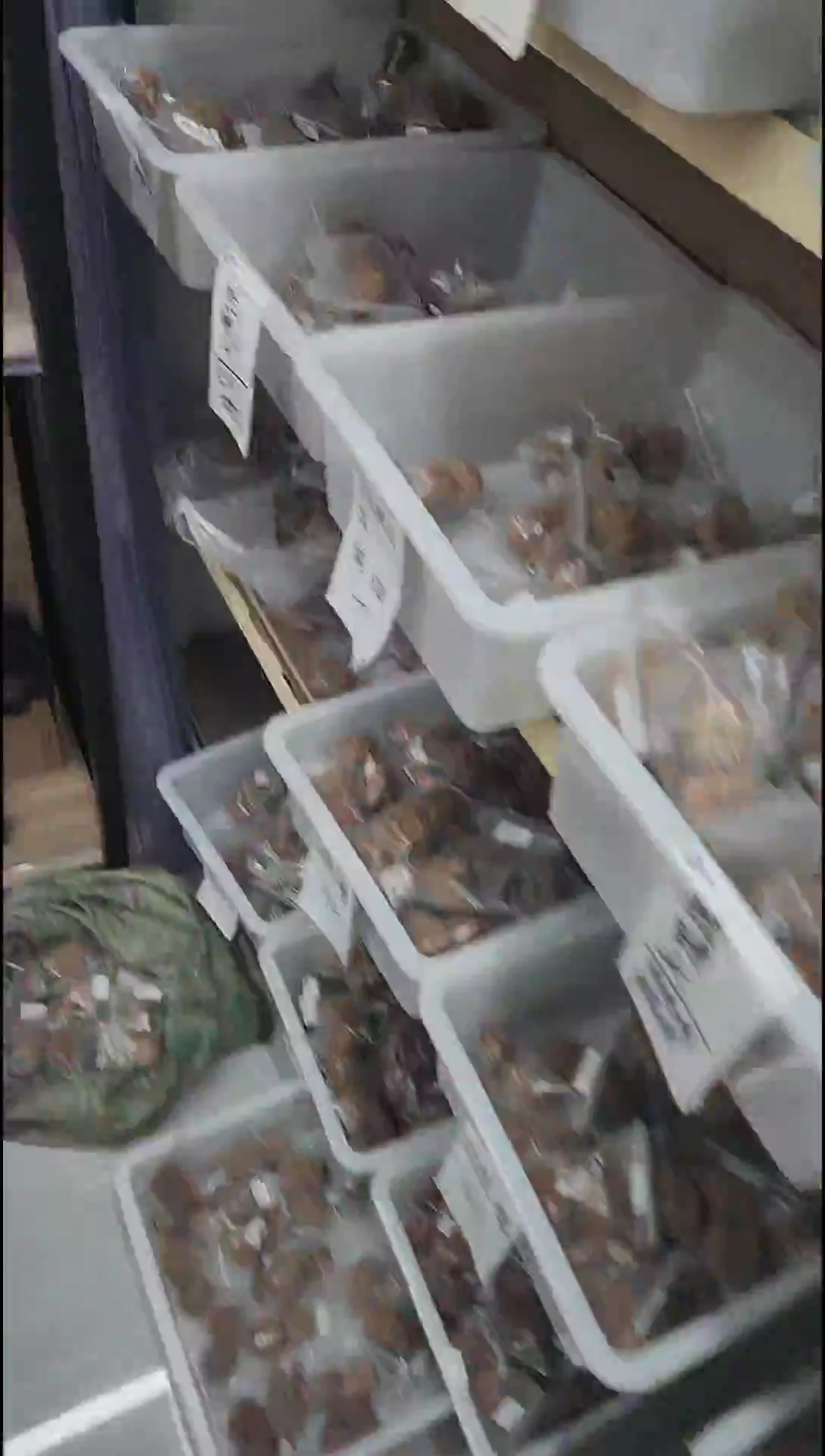 把件核桃原生态山地苹果园#3909998AAA