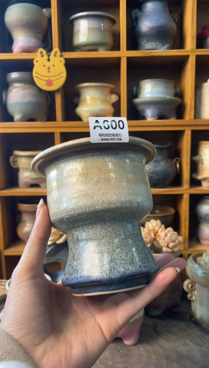 波****o600【多肉花盆多肉盆】