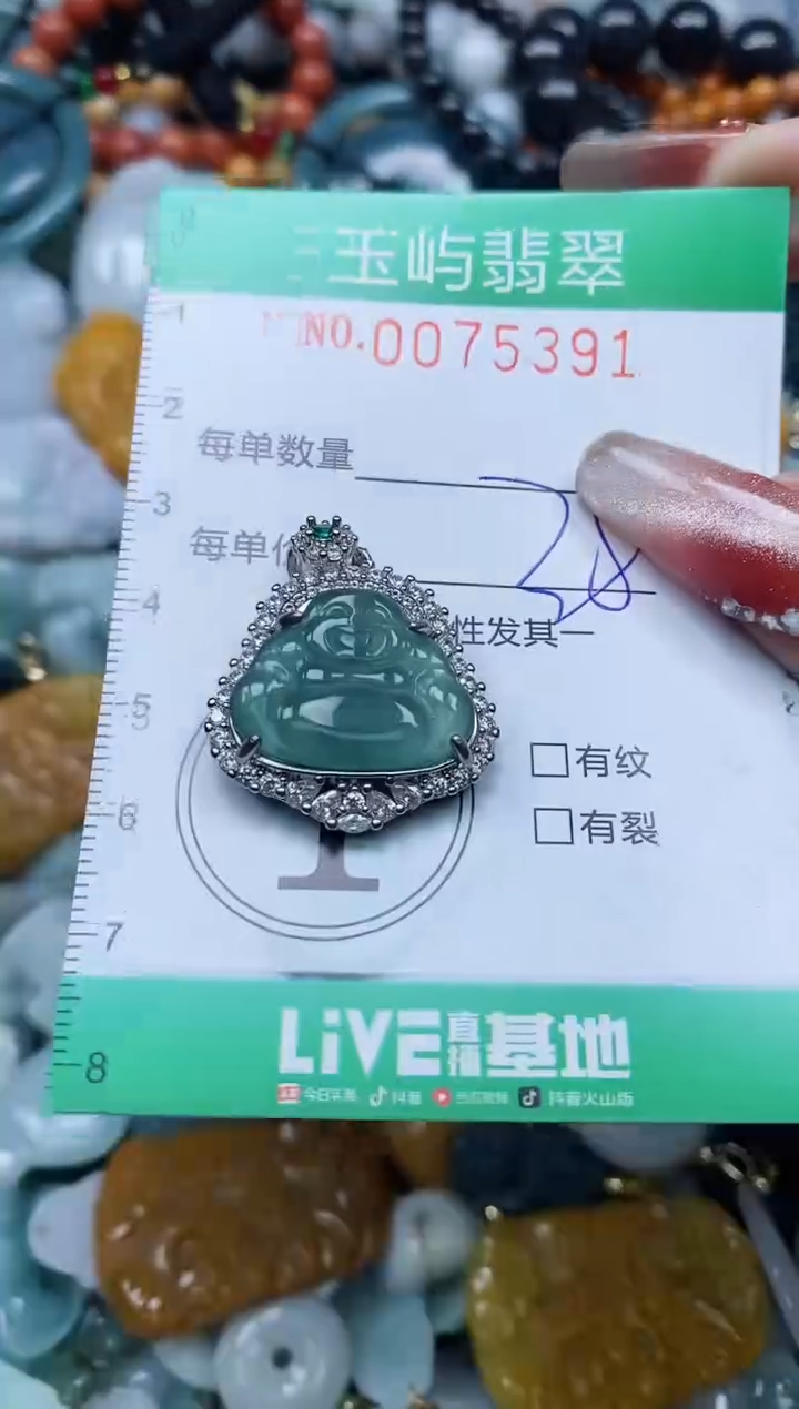 【闪购商品】翡翠颈饰未镶嵌闪购0075391