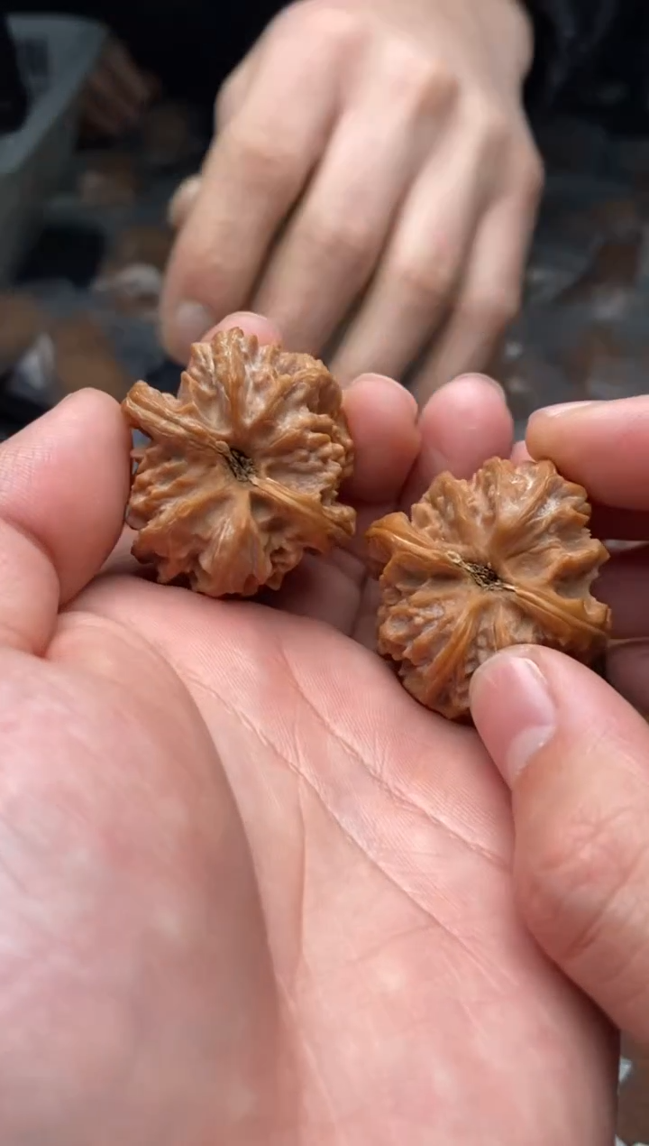 【闪购商品】文玩核桃把件G57号35尺曹大龙