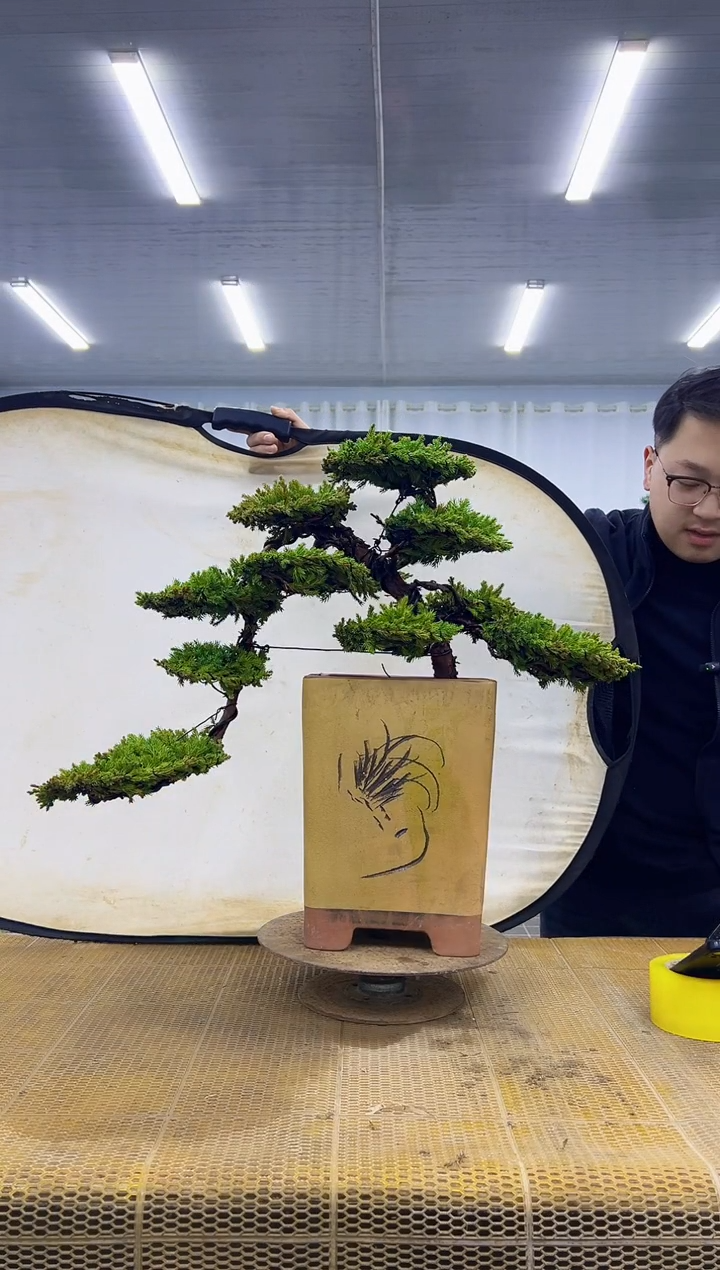 无花朵00000000000000