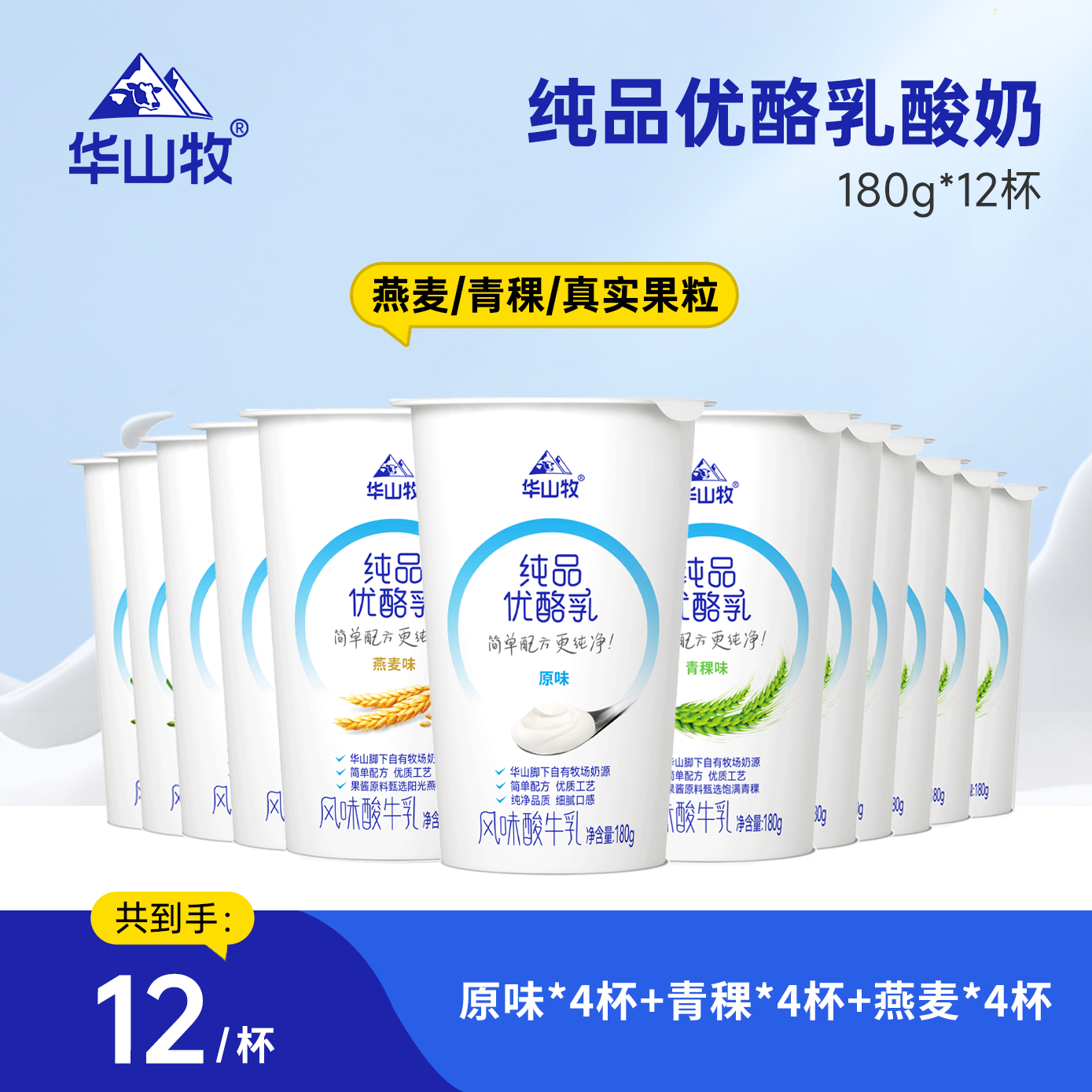 【华山牧】纯品优酪乳酸奶180g*12杯（原味+青稞+燕麦口味）HY