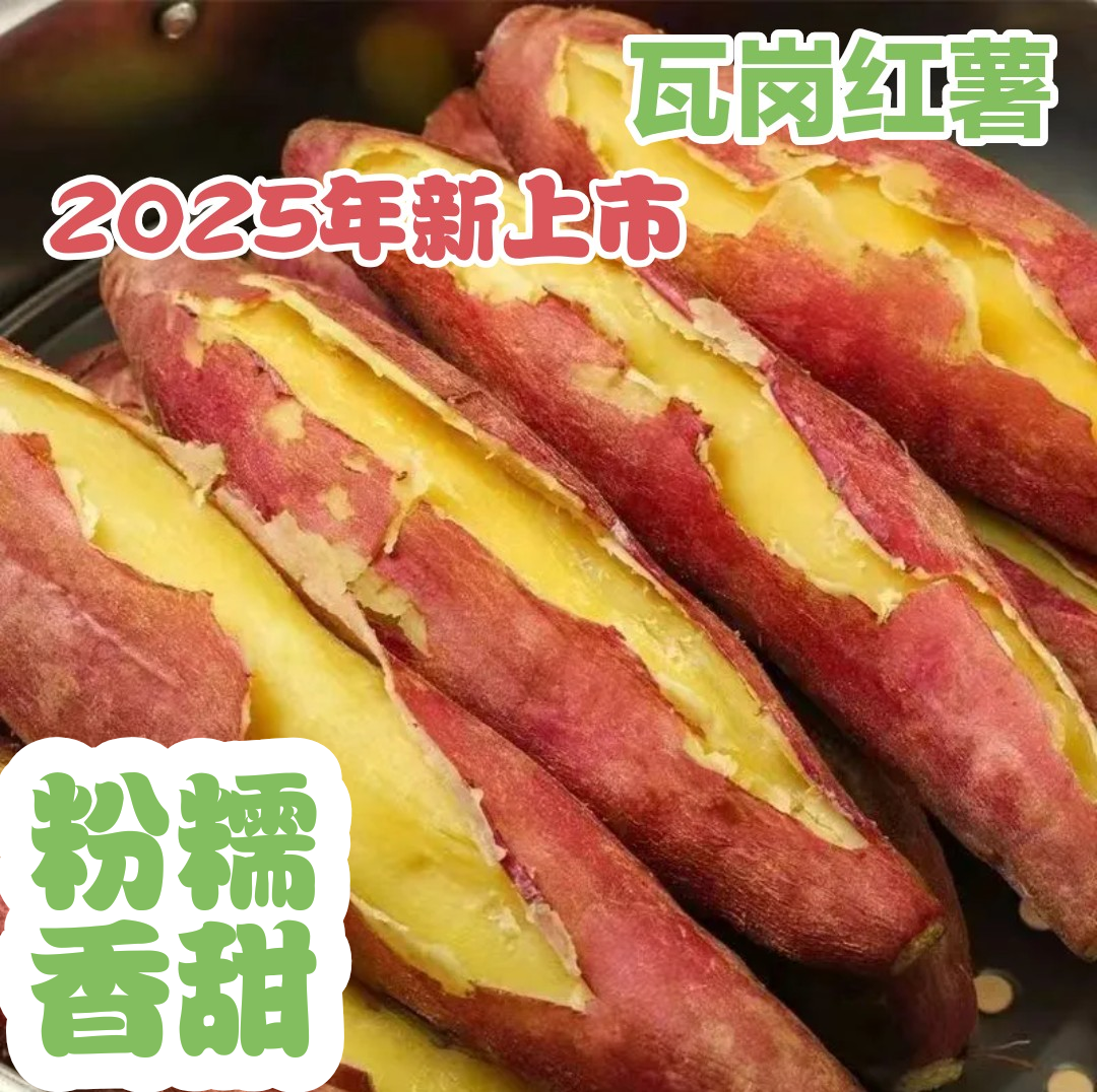 河南新鲜沙地西瓜红密薯香甜粗粮代餐烤地瓜农家直发