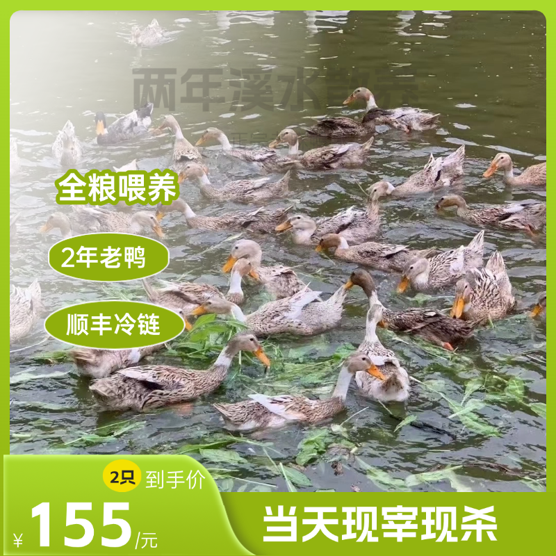 【2只溪水河鸭】皖南溪水放养土鸭散养老母鸭老鸭汤啤酒鸭新鲜发货 顺丰生鲜发货 