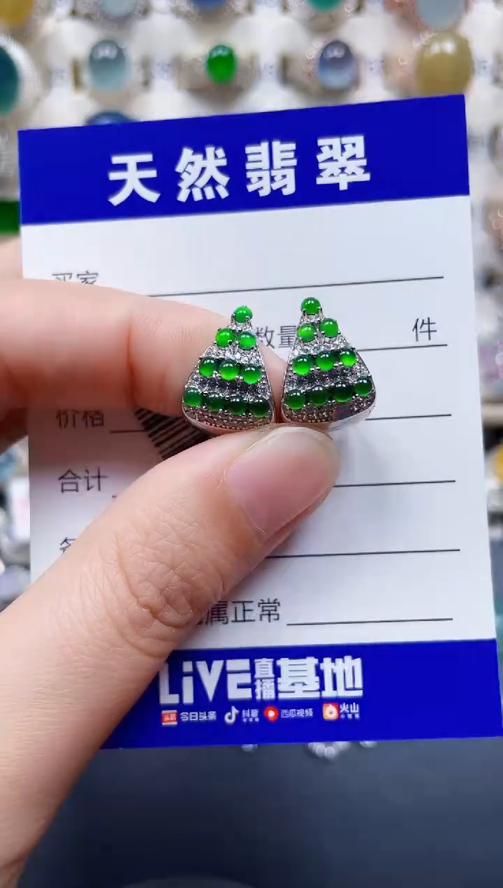 银S925镶嵌翡翠耳饰213