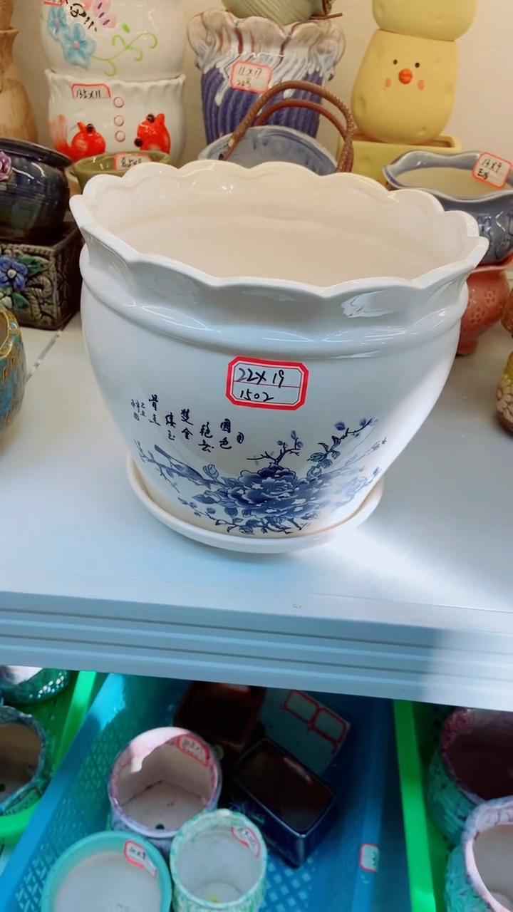 【闪购商品】陶瓷@@1502