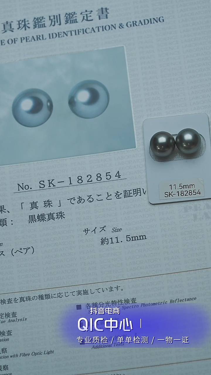 【闪购商品】海水珍珠裸珠未镶嵌铂金灰11.5mm对珠+真科研证书